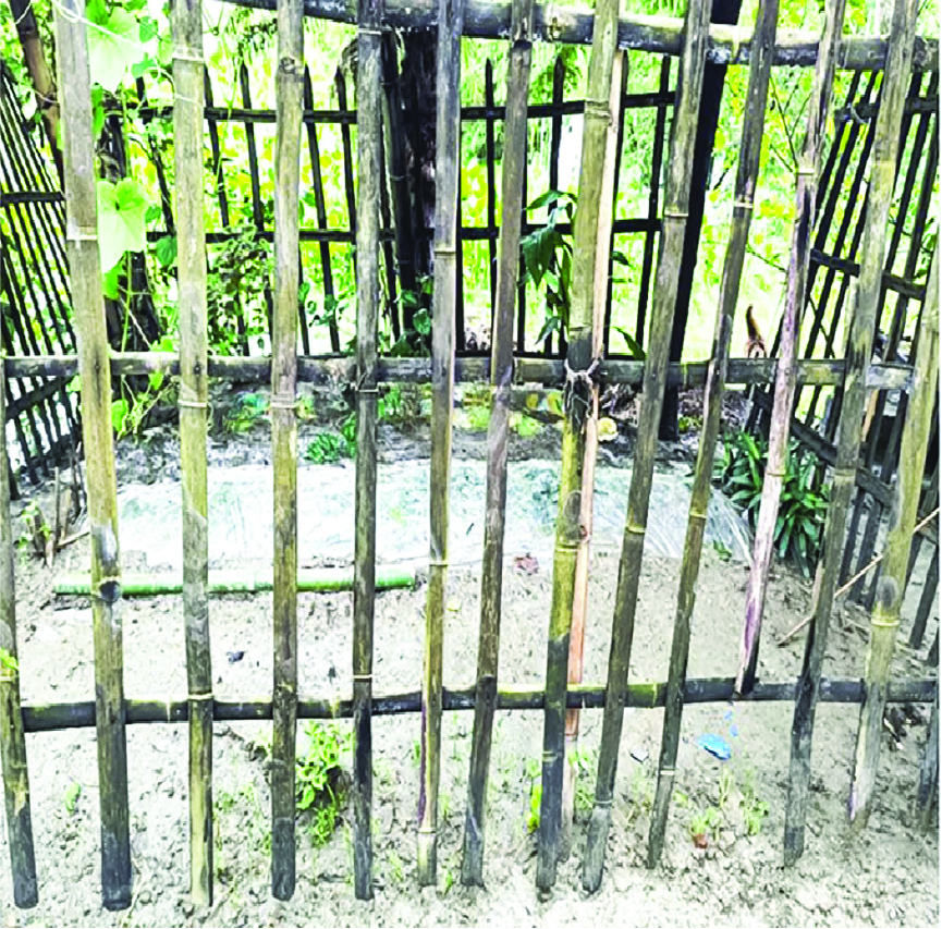 Image of মো: জুনায়েত হোসেন